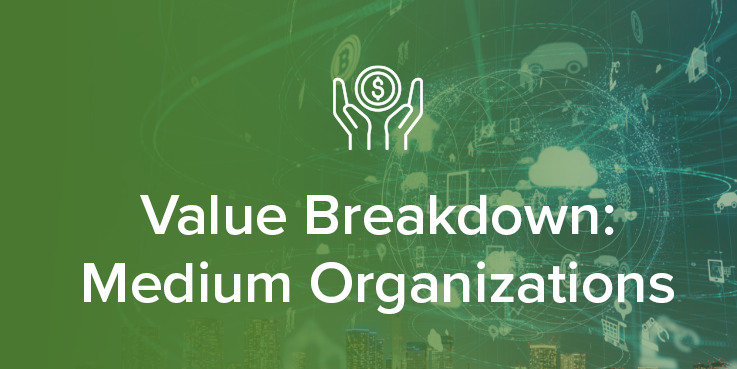 Value Breakdown: Medium Organization